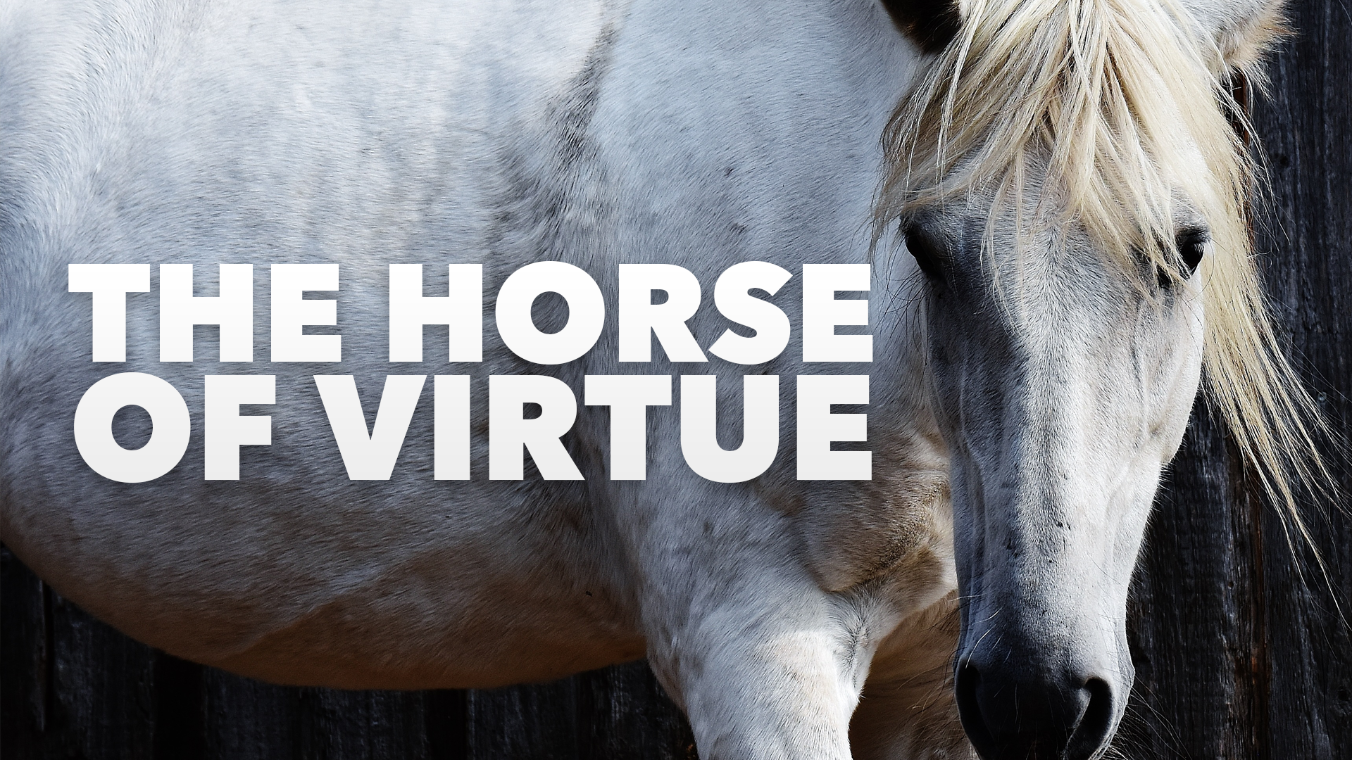 CU Weekly 449: The Horse of Virtue.